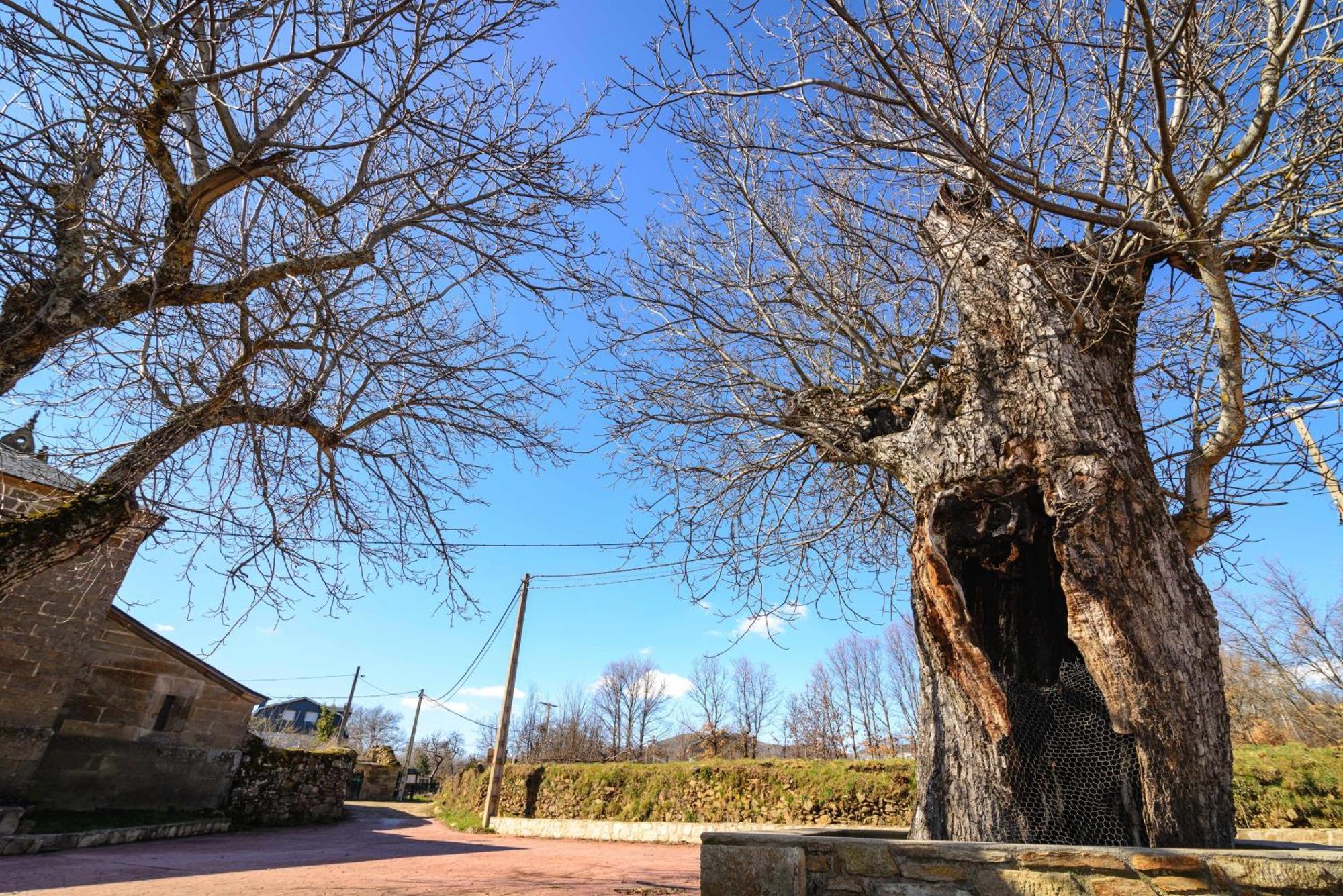 Casas Rurales San Justo Bagian luar foto